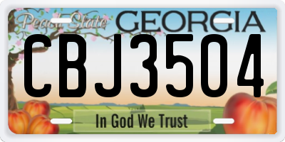 GA license plate CBJ3504