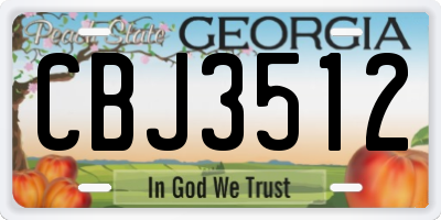 GA license plate CBJ3512