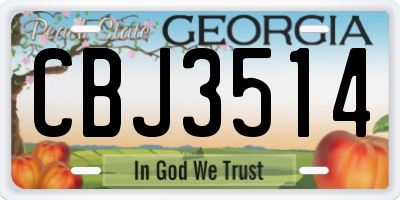 GA license plate CBJ3514