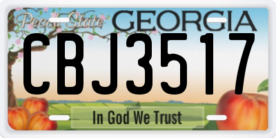 GA license plate CBJ3517