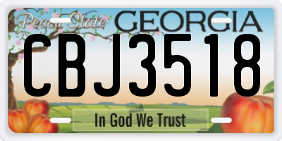 GA license plate CBJ3518