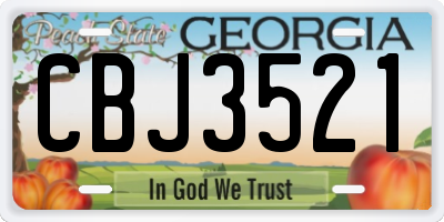 GA license plate CBJ3521
