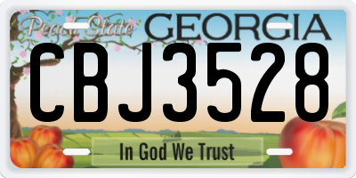 GA license plate CBJ3528
