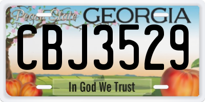 GA license plate CBJ3529