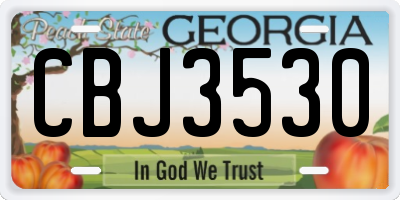 GA license plate CBJ3530