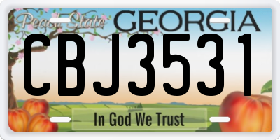 GA license plate CBJ3531