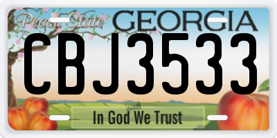 GA license plate CBJ3533