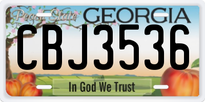 GA license plate CBJ3536