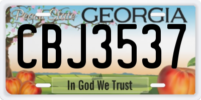 GA license plate CBJ3537