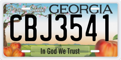 GA license plate CBJ3541