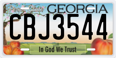 GA license plate CBJ3544