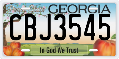 GA license plate CBJ3545