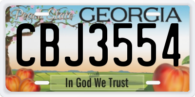 GA license plate CBJ3554