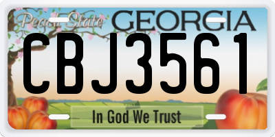 GA license plate CBJ3561