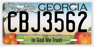 GA license plate CBJ3562
