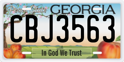 GA license plate CBJ3563
