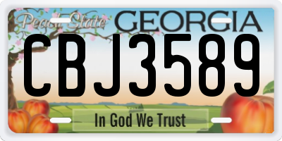 GA license plate CBJ3589