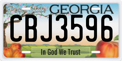 GA license plate CBJ3596