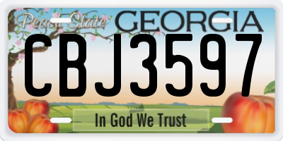 GA license plate CBJ3597