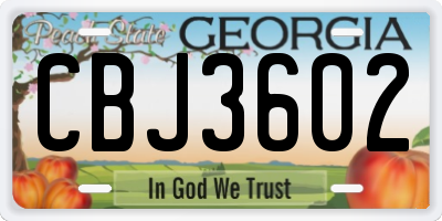 GA license plate CBJ3602
