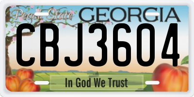GA license plate CBJ3604