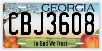 GA license plate CBJ3608