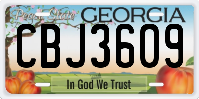 GA license plate CBJ3609