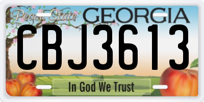 GA license plate CBJ3613