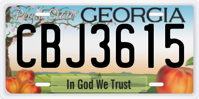GA license plate CBJ3615