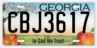 GA license plate CBJ3617