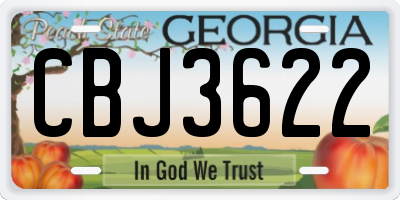 GA license plate CBJ3622
