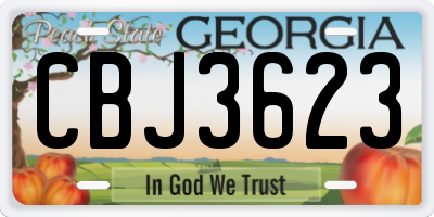 GA license plate CBJ3623