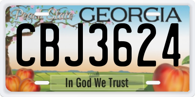 GA license plate CBJ3624
