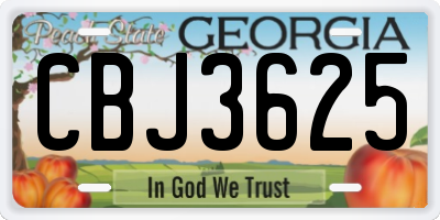 GA license plate CBJ3625