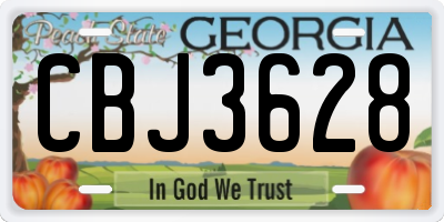 GA license plate CBJ3628