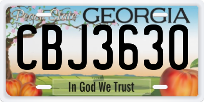 GA license plate CBJ3630