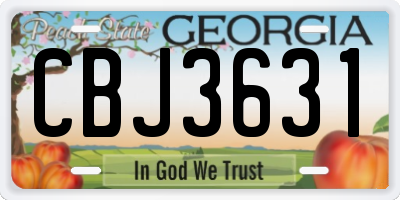 GA license plate CBJ3631