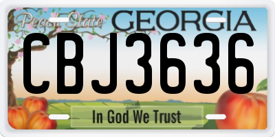 GA license plate CBJ3636