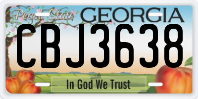 GA license plate CBJ3638