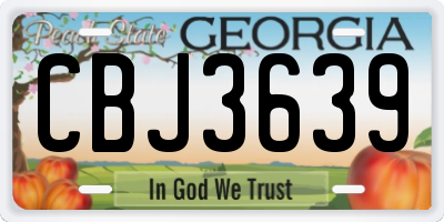 GA license plate CBJ3639