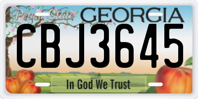 GA license plate CBJ3645