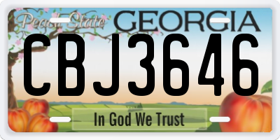 GA license plate CBJ3646