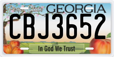 GA license plate CBJ3652