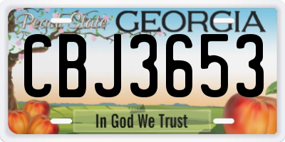 GA license plate CBJ3653
