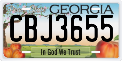 GA license plate CBJ3655