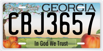 GA license plate CBJ3657