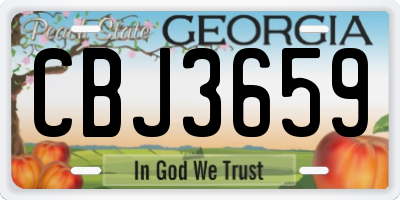 GA license plate CBJ3659
