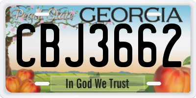 GA license plate CBJ3662