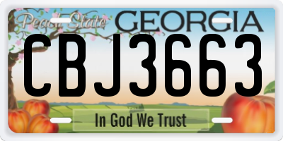 GA license plate CBJ3663