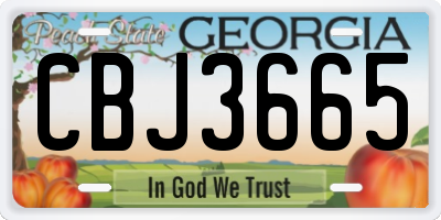 GA license plate CBJ3665
